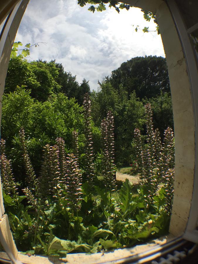 Bed and Breakfast Domaine De Puytirel Champagne-et-Fontaine Exterior foto